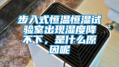 步入式恒溫恒濕試驗(yàn)室出現(xiàn)濕度降不下，是什么原因呢