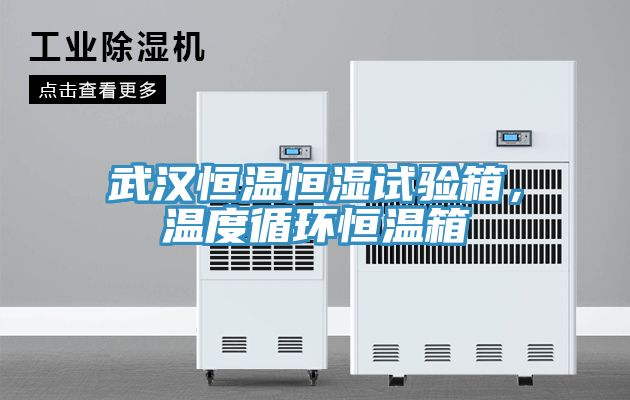 武漢恒溫恒濕試驗箱，溫度循環(huán)恒溫箱