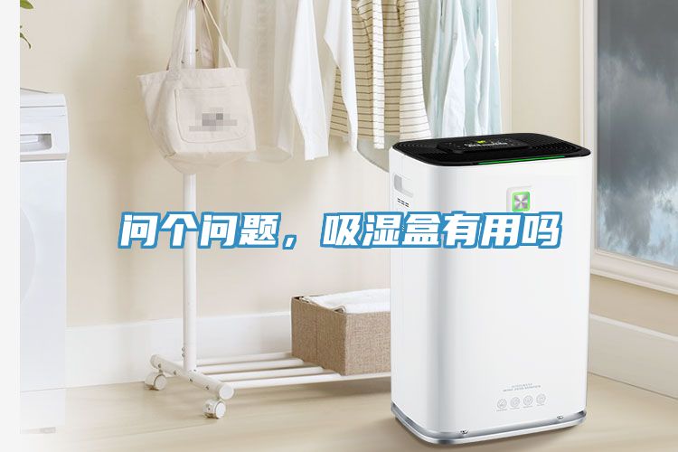 問個問題，吸濕盒有用嗎