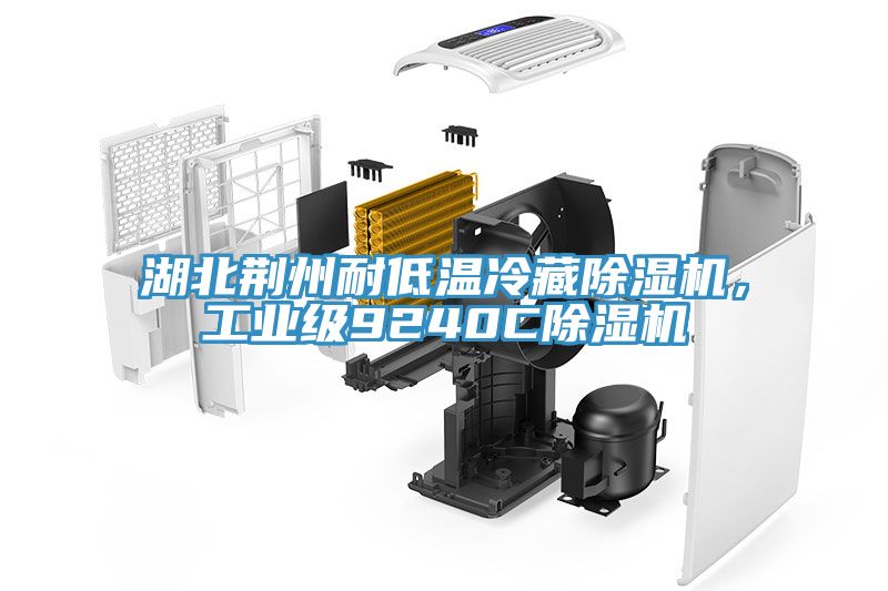 湖北荊州耐低溫冷藏除濕機(jī)，工業(yè)級(jí)9240C除濕機(jī)