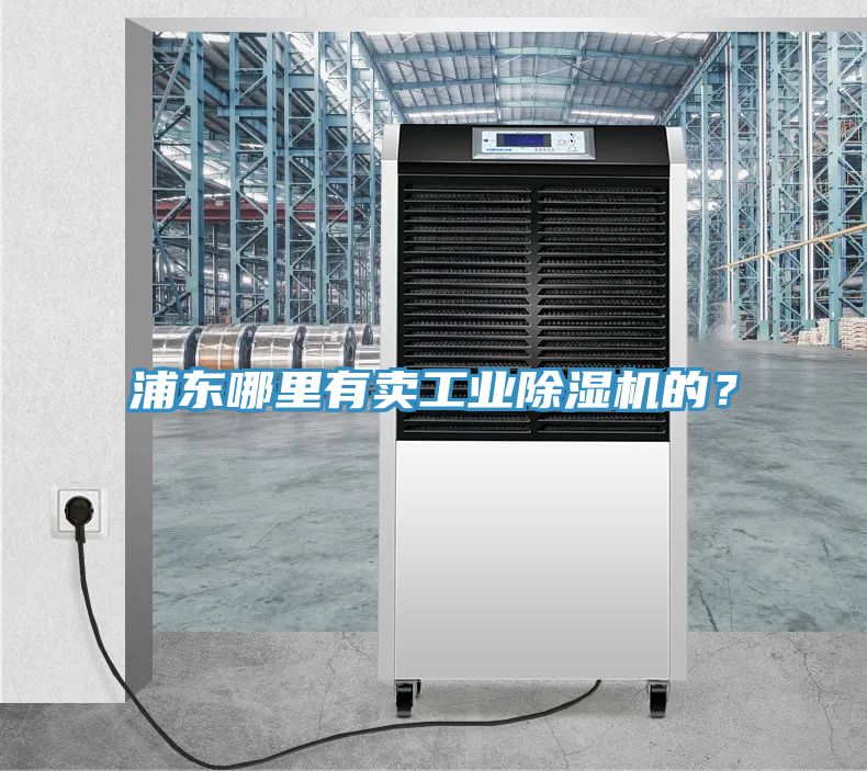 浦東哪里有賣工業(yè)除濕機(jī)的？