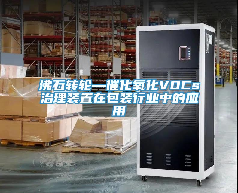 沸石轉(zhuǎn)輪—催化氧化VOCs治理裝置在包裝行業(yè)中的應用