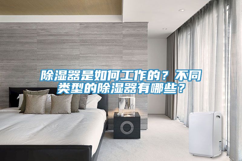除濕器是如何工作的？不同類型的除濕器有哪些？