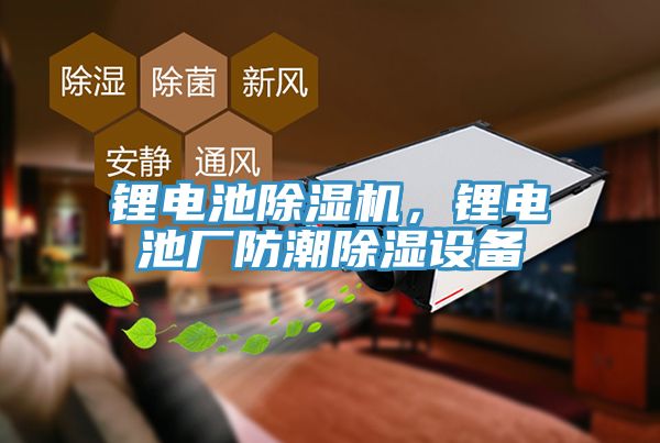 鋰電池除濕機(jī)，鋰電池廠防潮除濕設(shè)備
