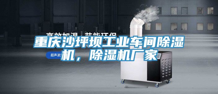 重慶沙坪壩工業(yè)車間除濕機(jī)，除濕機(jī)廠家