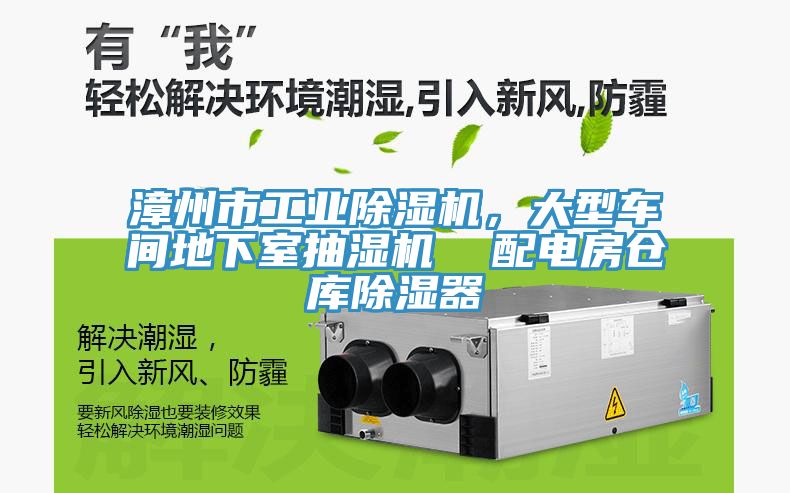 漳州市工業(yè)除濕機(jī)，大型車間地下室抽濕機(jī)  配電房倉庫除濕器