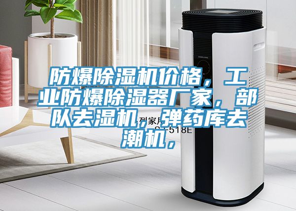 防爆除濕機(jī)價格，工業(yè)防爆除濕器廠家，部隊(duì)去濕機(jī)，彈藥庫去潮機(jī)，