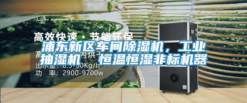 浦東新區(qū)車間除濕機(jī)，工業(yè)抽濕機(jī)  恒溫恒濕非標(biāo)機(jī)器