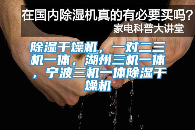 除濕干燥機(jī)，一對(duì)二三機(jī)一體，湖州三機(jī)一體，寧波三機(jī)一體除濕干燥機(jī)