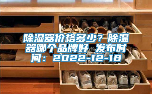 除濕器價格多少？除濕器哪個品牌好 發(fā)布時間：2022-12-18