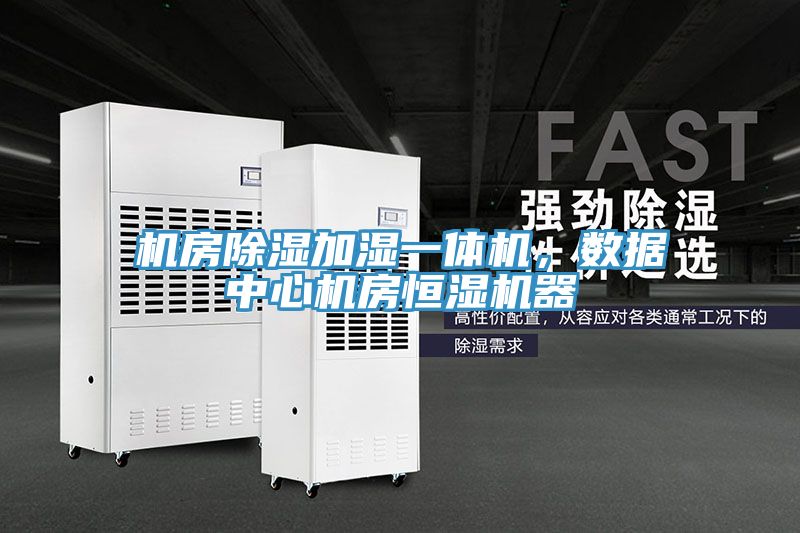 機(jī)房除濕加濕一體機(jī)，數(shù)據(jù)中心機(jī)房恒濕機(jī)器