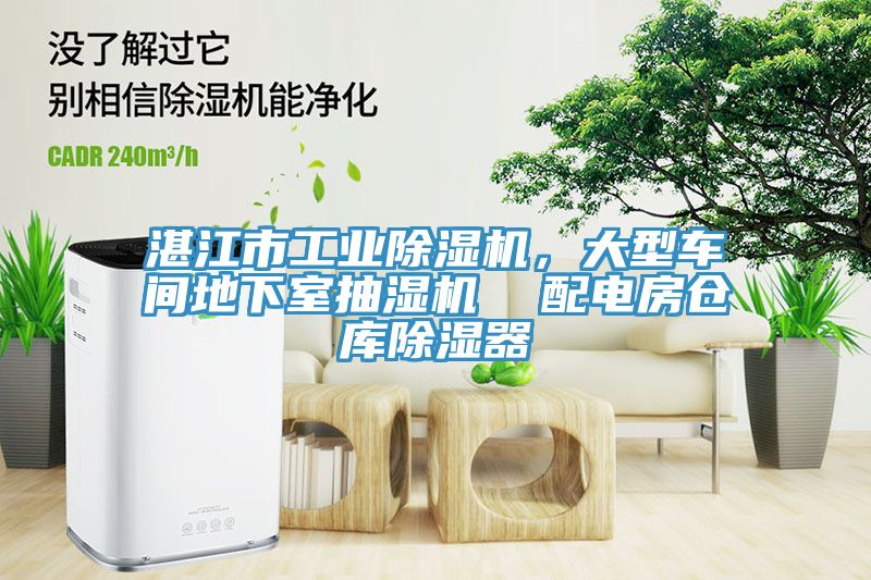 湛江市工業(yè)除濕機(jī)，大型車間地下室抽濕機(jī)  配電房倉庫除濕器