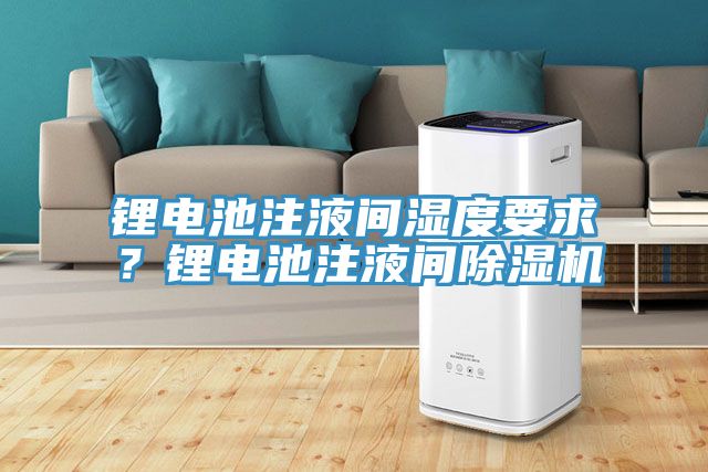 鋰電池注液間濕度要求？鋰電池注液間除濕機(jī)