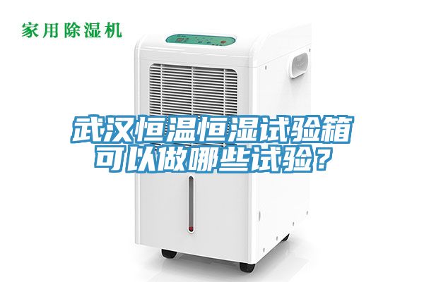 武漢恒溫恒濕試驗箱可以做哪些試驗？