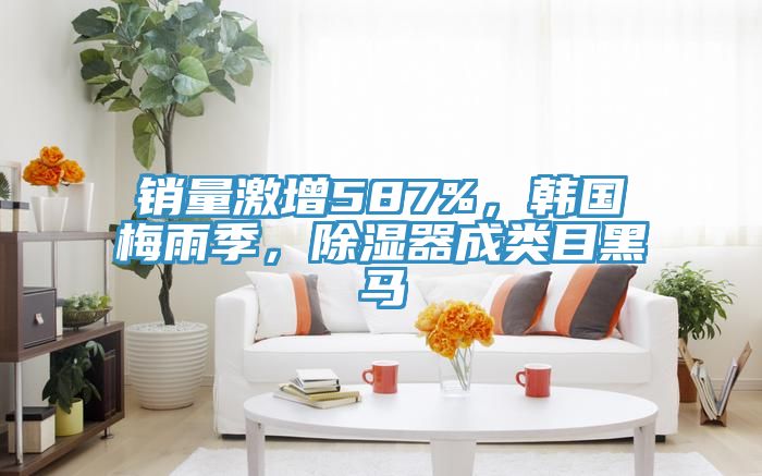銷(xiāo)量激增587%，韓國(guó)梅雨季，除濕器成類(lèi)目黑馬