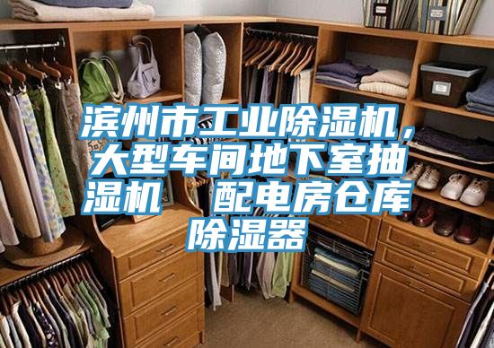 濱州市工業(yè)除濕機，大型車間地下室抽濕機  配電房倉庫除濕器