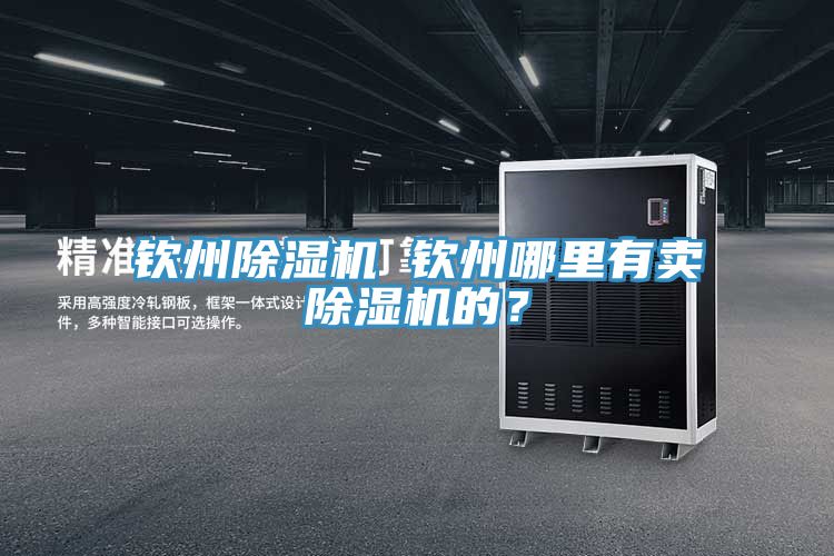欽州除濕機(jī) 欽州哪里有賣除濕機(jī)的？