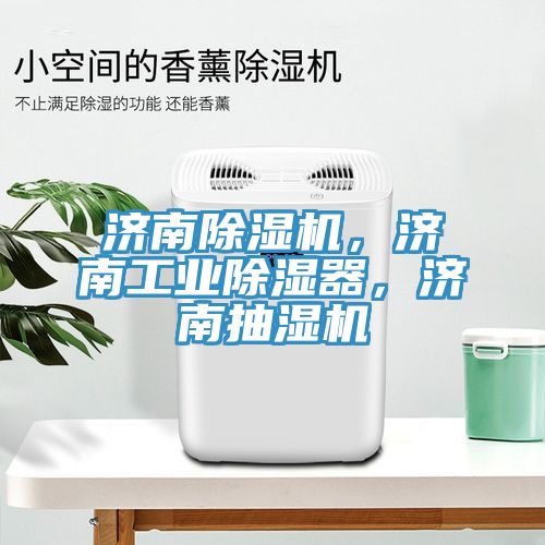 濟(jì)南除濕機(jī)，濟(jì)南工業(yè)除濕器，濟(jì)南抽濕機(jī)