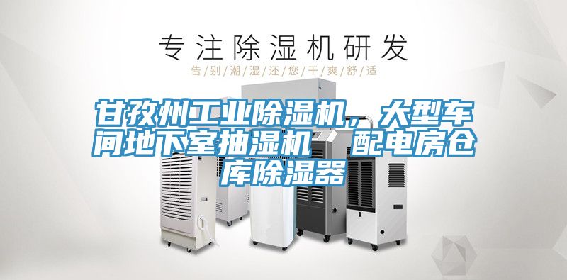 甘孜州工業(yè)除濕機，大型車間地下室抽濕機  配電房倉庫除濕器