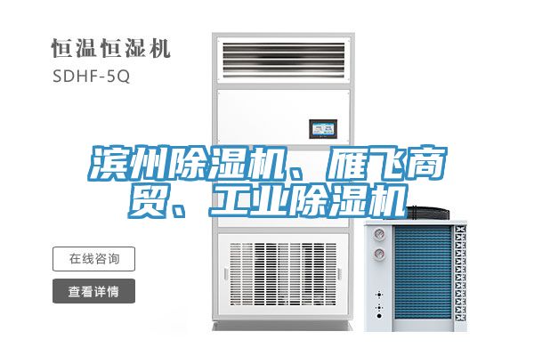 濱州除濕機、雁飛商貿(mào)、工業(yè)除濕機