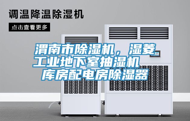渭南市除濕機(jī)，濕菱工業(yè)地下室抽濕機(jī)  庫房配電房除濕器