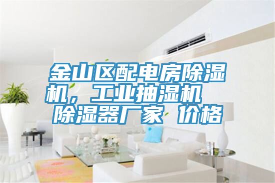 金山區(qū)配電房除濕機(jī)，工業(yè)抽濕機(jī)  除濕器廠家 價(jià)格