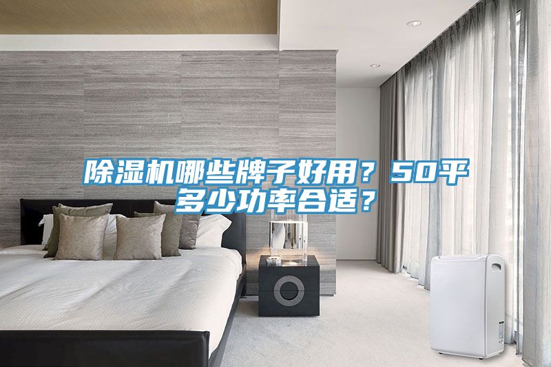 除濕機(jī)哪些牌子好用？50平多少功率合適？