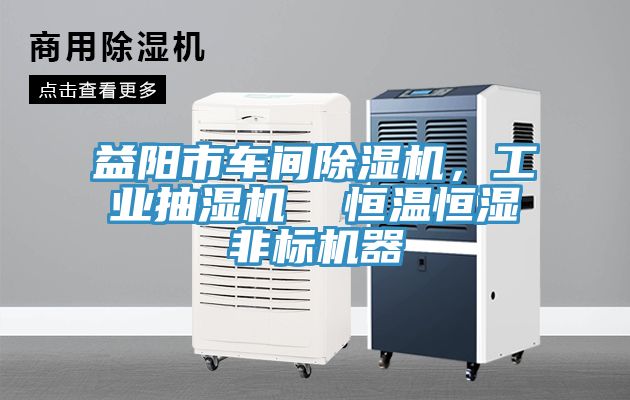 益陽市車間除濕機，工業(yè)抽濕機  恒溫恒濕非標(biāo)機器