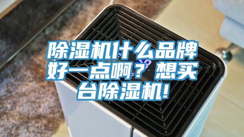 除濕機什么品牌好一點??？想買臺除濕機!