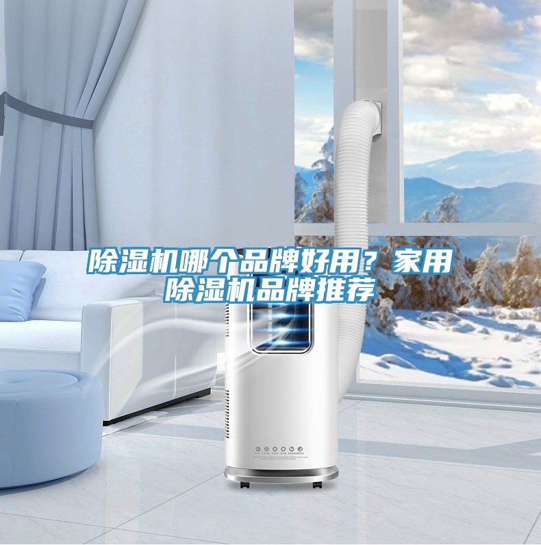 除濕機哪個品牌好用？家用除濕機品牌推薦