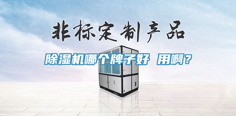 除濕機(jī)哪個(gè)牌子好 用??？