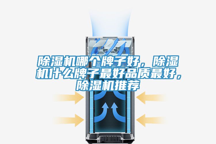 除濕機(jī)哪個(gè)牌子好，除濕機(jī)什么牌子最好品質(zhì)最好，除濕機(jī)推薦