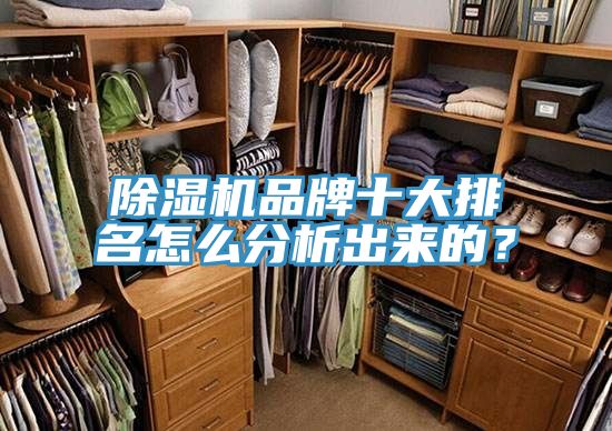除濕機品牌十大排名怎么分析出來的？