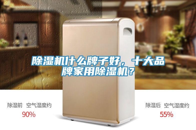 除濕機(jī)什么牌子好，十大品牌家用除濕機(jī)？