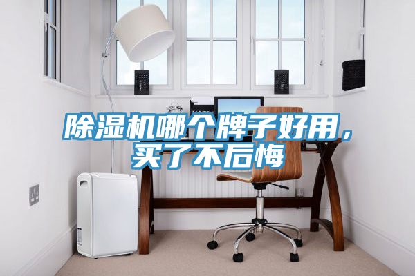 除濕機(jī)哪個(gè)牌子好用，買了不后悔