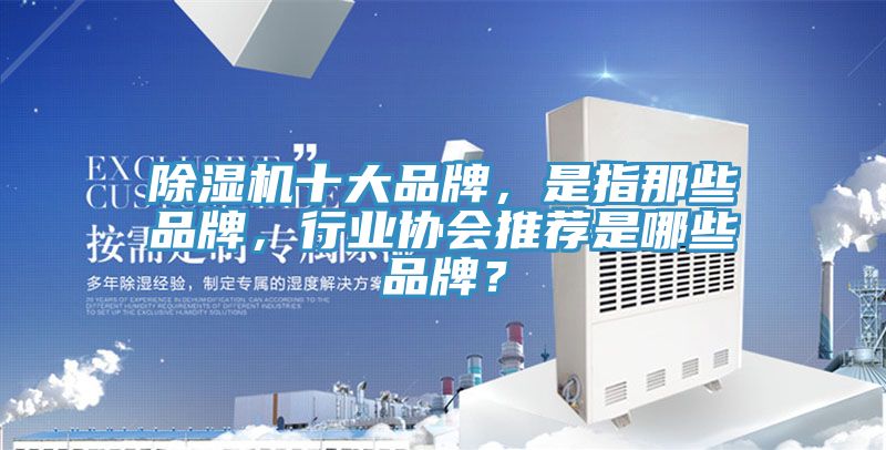 除濕機(jī)十大品牌，是指那些品牌，行業(yè)協(xié)會(huì)推薦是哪些品牌？
