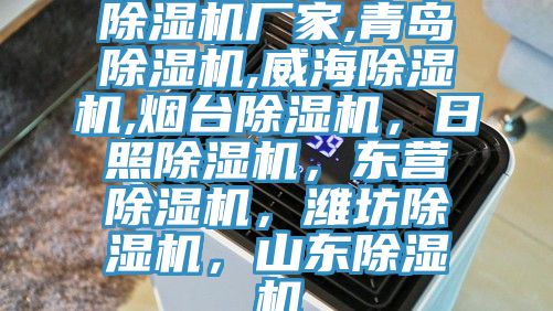 除濕機廠家,青島除濕機,威海除濕機,煙臺除濕機，日照除濕機，東營除濕機，濰坊除濕機，山東除濕機
