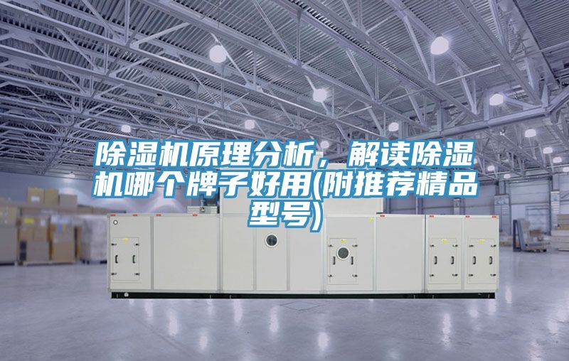 除濕機(jī)原理分析，解讀除濕機(jī)哪個牌子好用(附推薦精品型號)