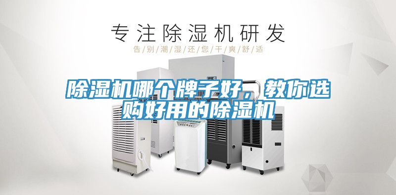 除濕機(jī)哪個(gè)牌子好，教你選購(gòu)好用的除濕機(jī)