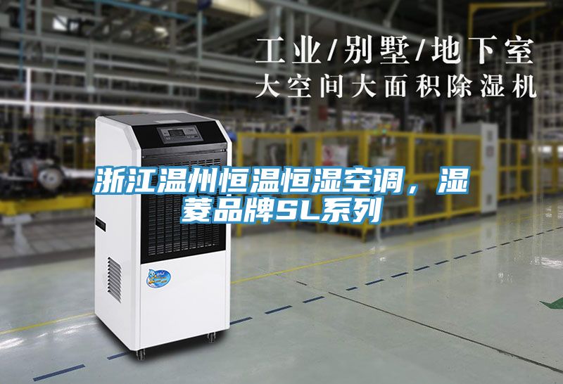 浙江溫州恒溫恒濕空調，濕菱品牌SL系列