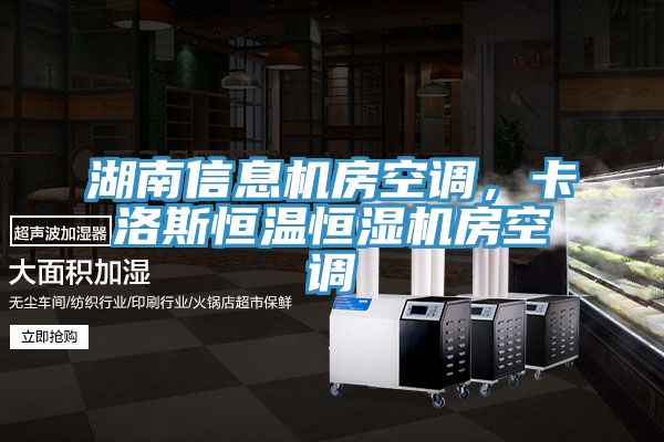 湖南信息機(jī)房空調(diào)，卡洛斯恒溫恒濕機(jī)房空調(diào)