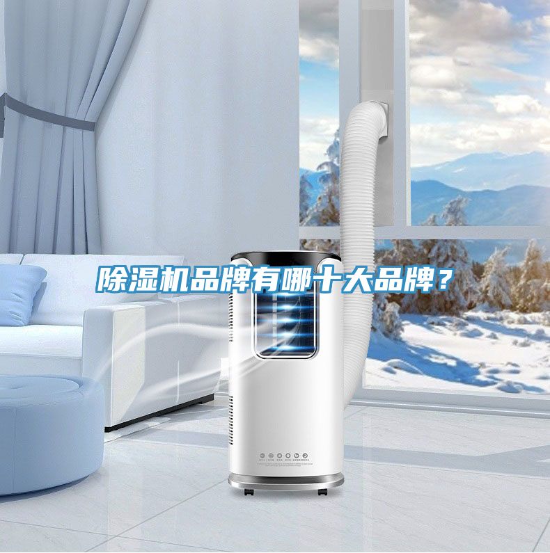 除濕機(jī)品牌有哪十大品牌？