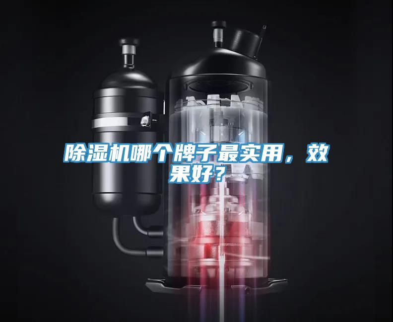 除濕機哪個牌子最實用，效果好？