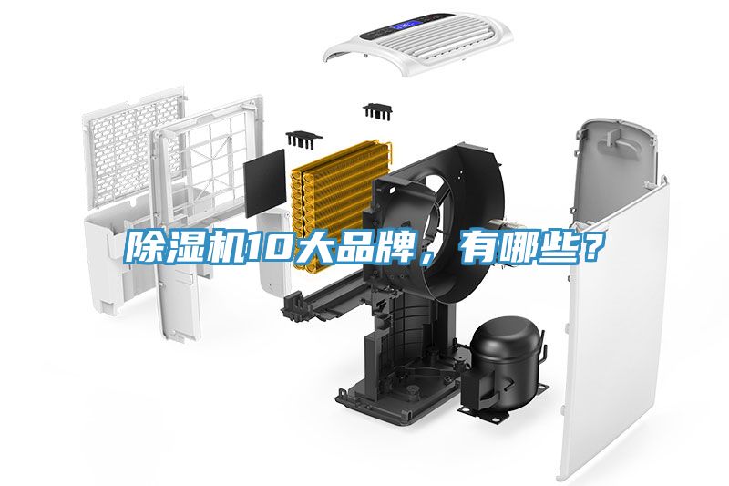 除濕機(jī)10大品牌，有哪些？