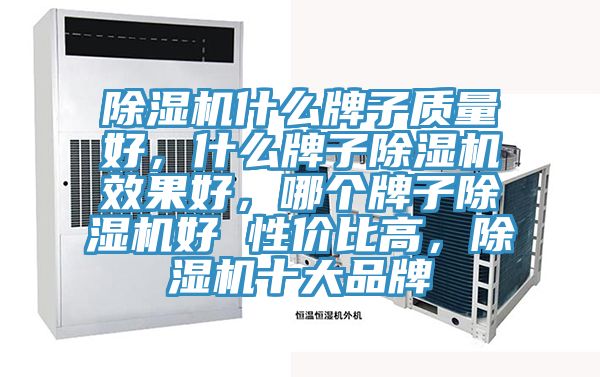 除濕機(jī)什么牌子質(zhì)量好，什么牌子除濕機(jī)效果好，哪個(gè)牌子除濕機(jī)好 性價(jià)比高，除濕機(jī)十大品牌