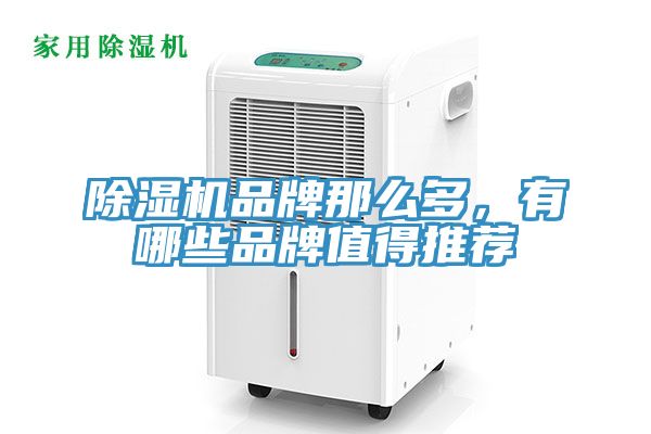 除濕機(jī)品牌那么多，有哪些品牌值得推薦