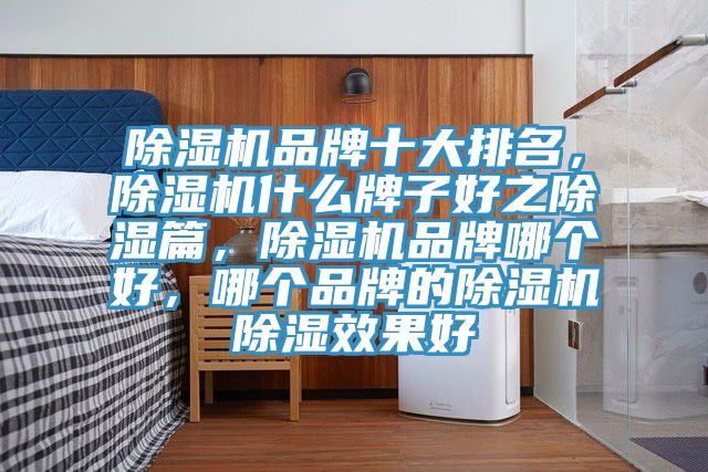 除濕機(jī)品牌十大排名，除濕機(jī)什么牌子好之除濕篇，除濕機(jī)品牌哪個好，哪個品牌的除濕機(jī)除濕效果好