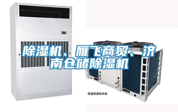 除濕機、雁飛商貿(mào)、濟南倉儲除濕機