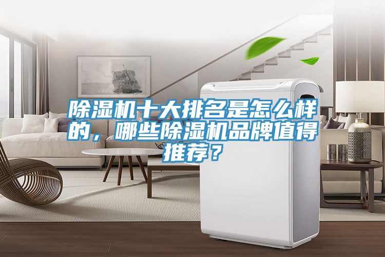除濕機(jī)十大排名是怎么樣的，哪些除濕機(jī)品牌值得推薦？