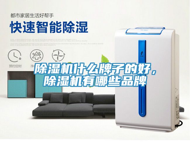 除濕機(jī)什么牌子的好，除濕機(jī)有哪些品牌